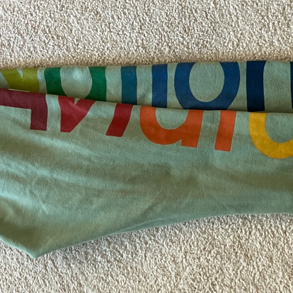 Aviator Nation Kids Sage Green Rainbow Logo Joggers - Picture 4 of 4
